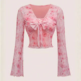 Rosa 2