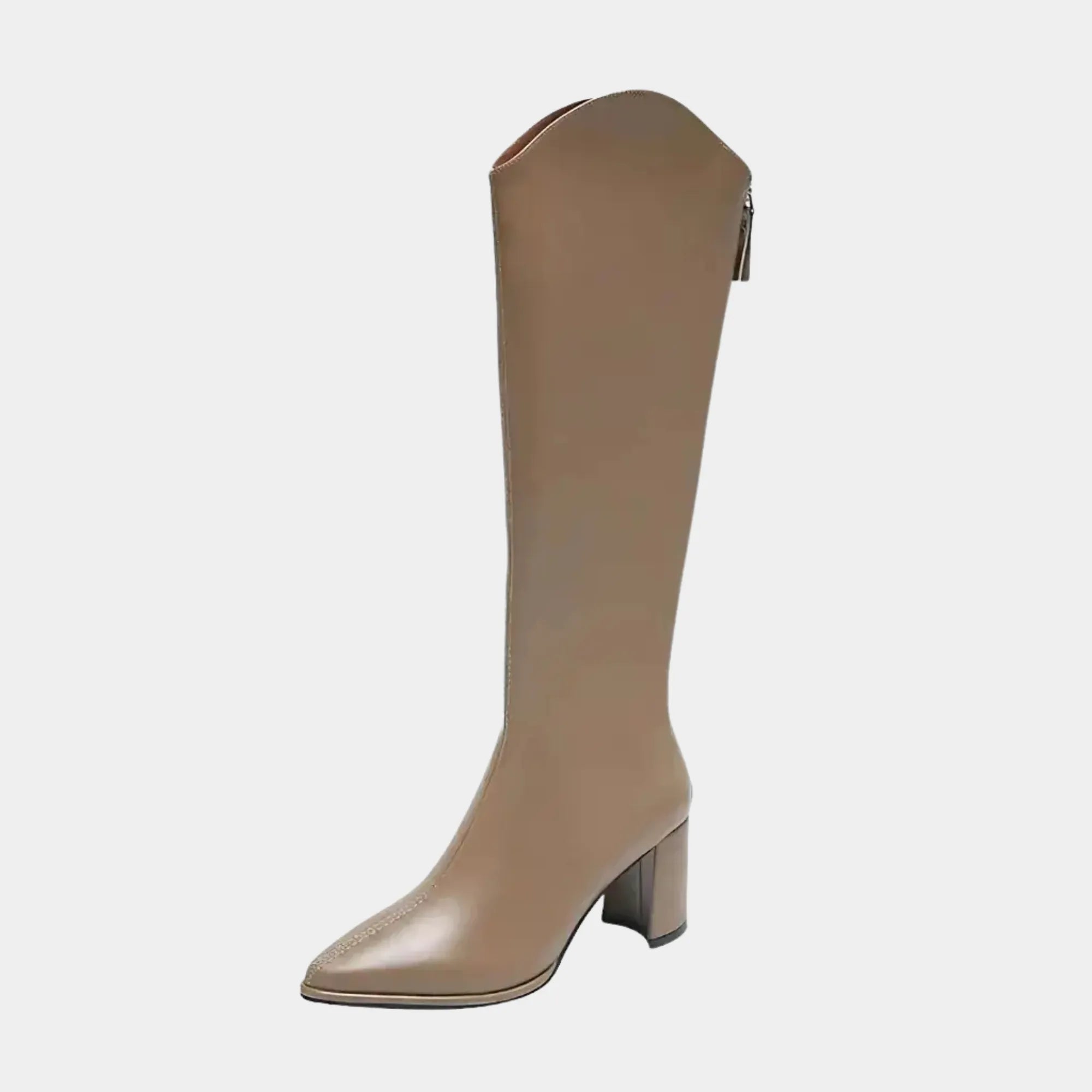 Bota Feminina Cano Longo Salto Grosso Bege